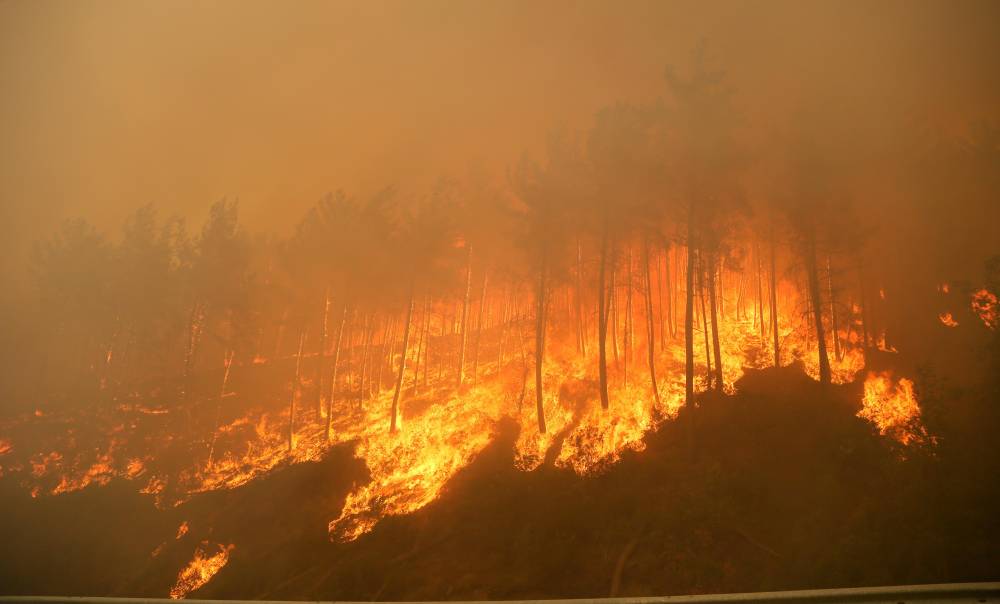2025'te ihmal, dikkatsizlik, kasıt ve kazadan 1933 orman yangını &ccedil;ıktı