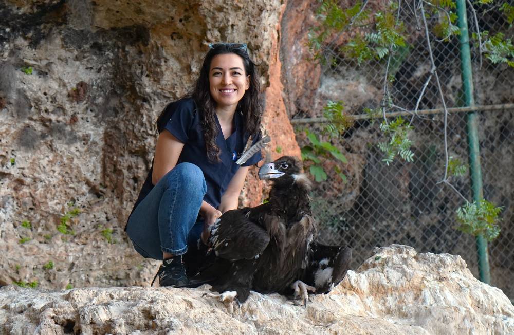 Doğaya d&ouml;nemeyen yırtıcıların yavruları i&ccedil;in yeni proje 