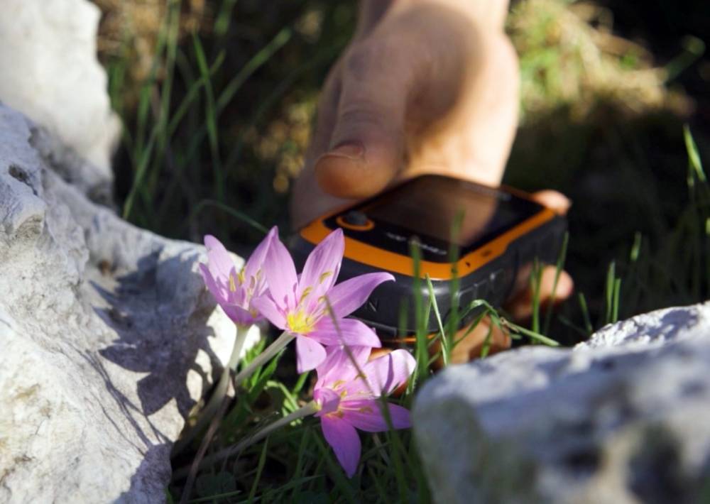  GPS verileri incelendi; orkidelerde ka&ccedil;ak s&ouml;k&uuml;m alarmı