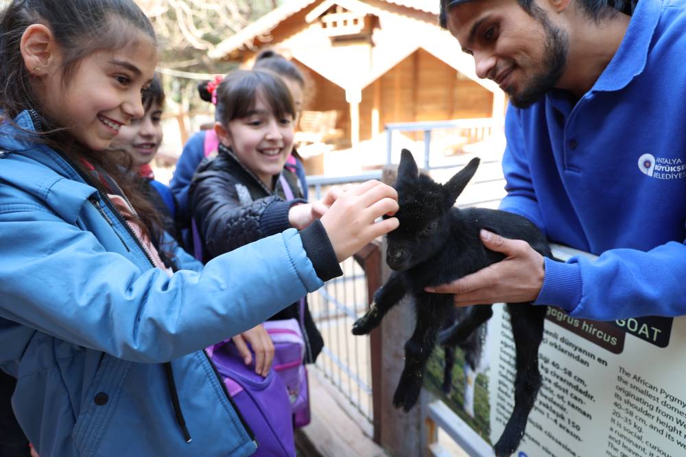 &Ccedil;ocuklar hayvanları ve yaban hayatını tanıdı