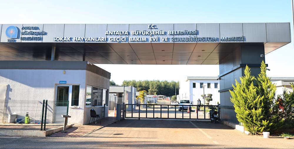 Sokak Hayvanları Ge&ccedil;ici Bakımevi can dostlara yeni yuva yolu oluyor