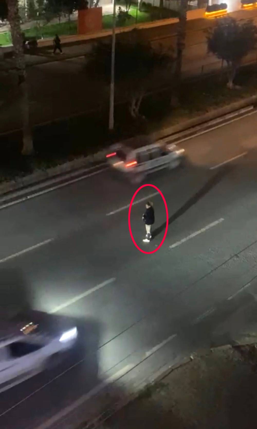 Yol ortasında bekledi, s&uuml;r&uuml;c&uuml;lere zor anlar yaşattı