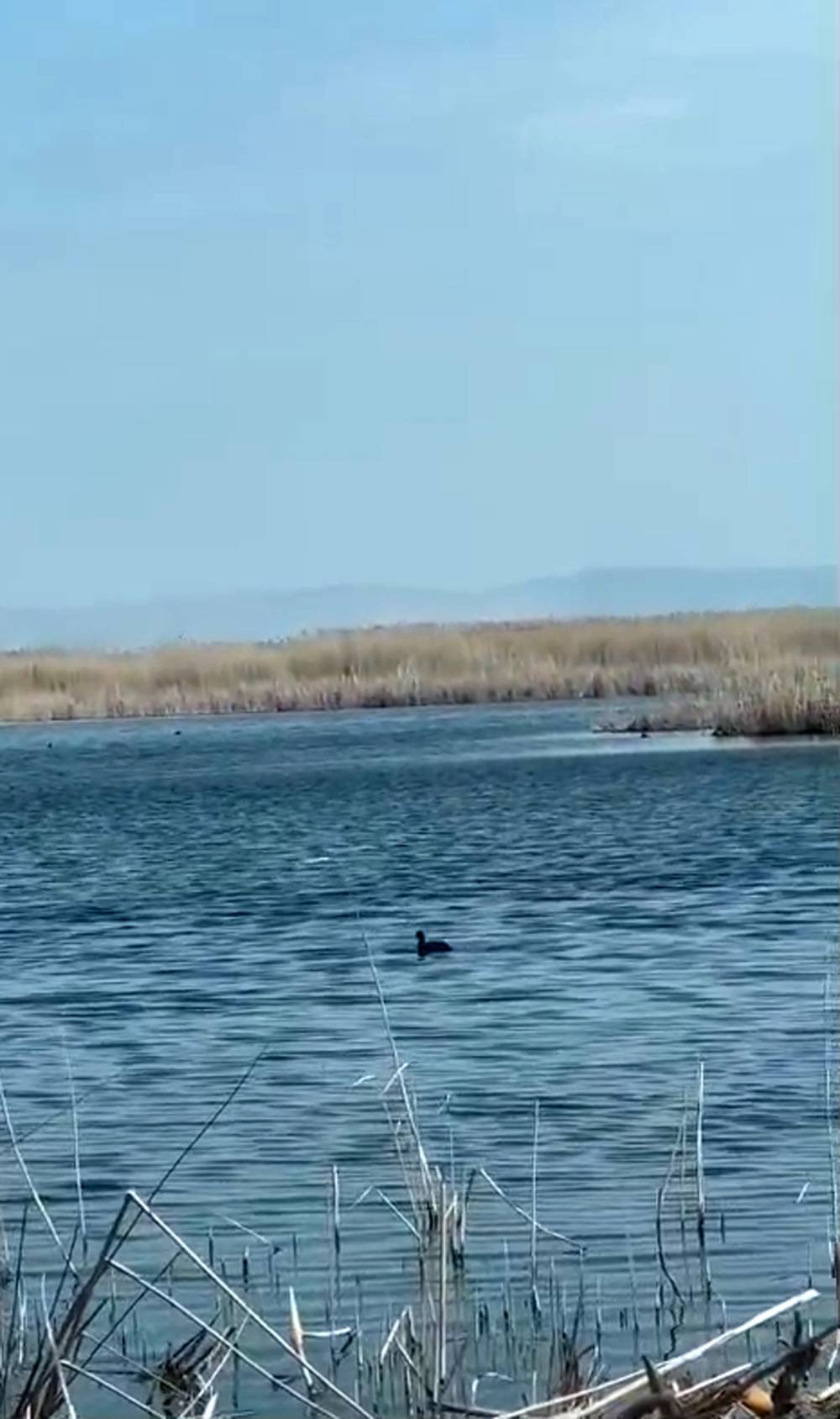 Eber G&ouml;l&uuml;'nde su seviyesi y&uuml;kseldi 