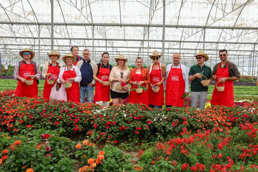 Antalya FoodFest Gastronomi Festivali'nde hasat etkinliği 