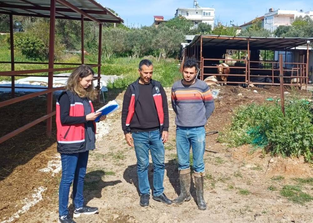 Yetiştiriciler buzağı &ouml;l&uuml;mlerine karşı bilgilendirildi 