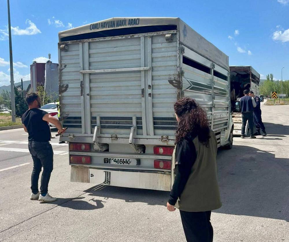 Canlı hayvan nakil ara&ccedil;larına denetim