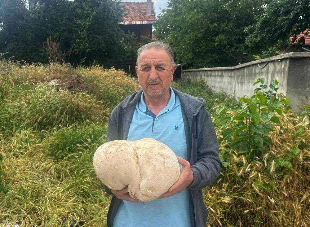 Bah&ccedil;esinde 3,5 kiloluk mantar buldu
