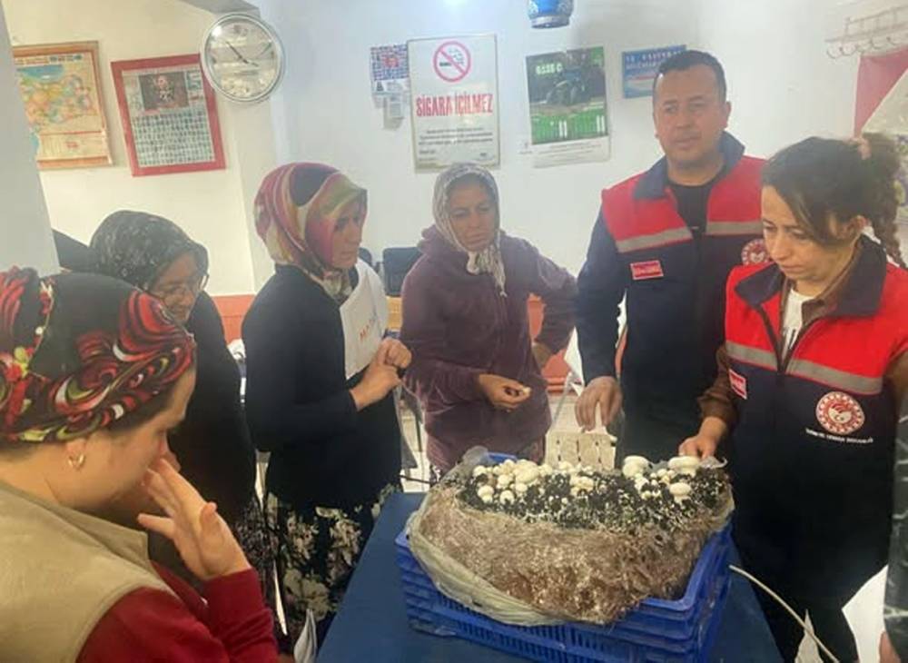 Eğirdir &Ccedil;ayk&ouml;y&rsquo;de mantar yetiştiriciliği kursuna yoğun ilgi