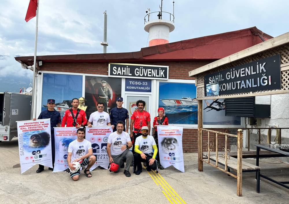 Kemer'de Akdeniz foklarının yaşam alanları koruma altına alınıyor