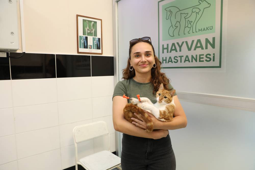 Kazazede 'Balım', protez patileriyle yeniden y&uuml;r&uuml;d&uuml;
