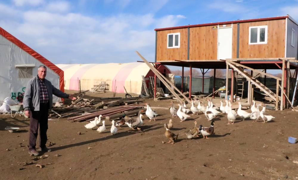 3 asırdır k&ouml;ylerinde kaz yetiştiriyorlar