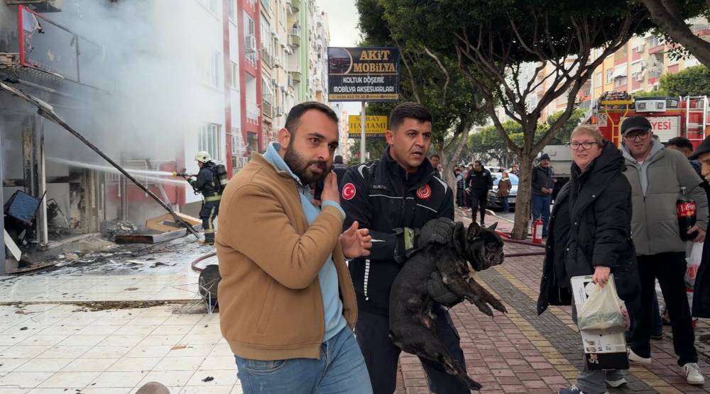 At&ouml;lyedeki yangında 4 k&ouml;peği itfaiye erleri kurtardı