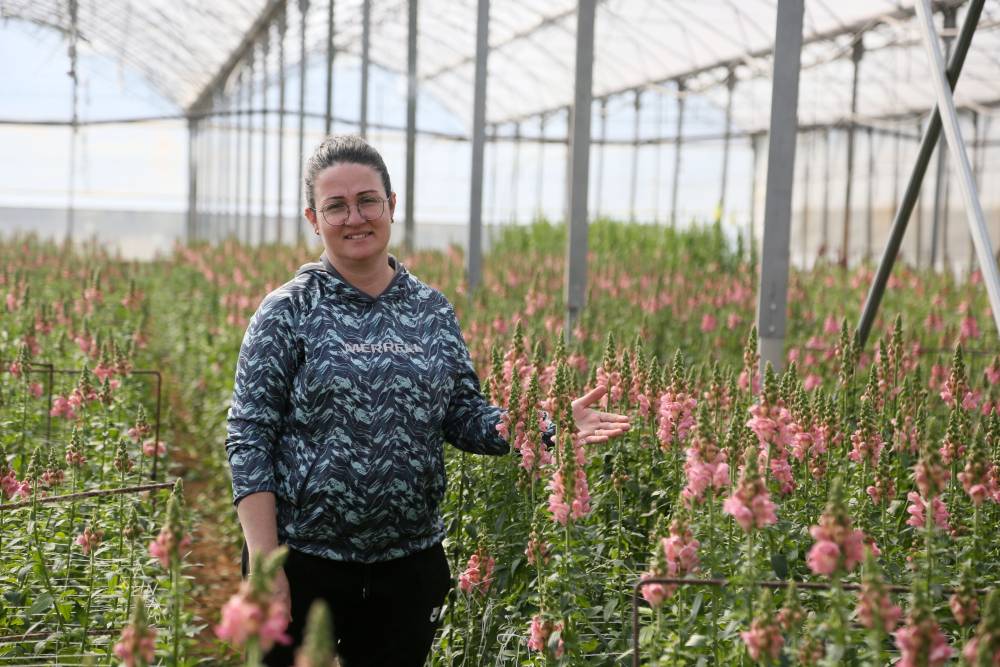 Antalya'dan Avrupa'ya yeni &ccedil;i&ccedil;ek: Aslanağzı