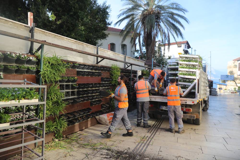 Antalya'da 4 milyon çiçek toprakla buluşuyor