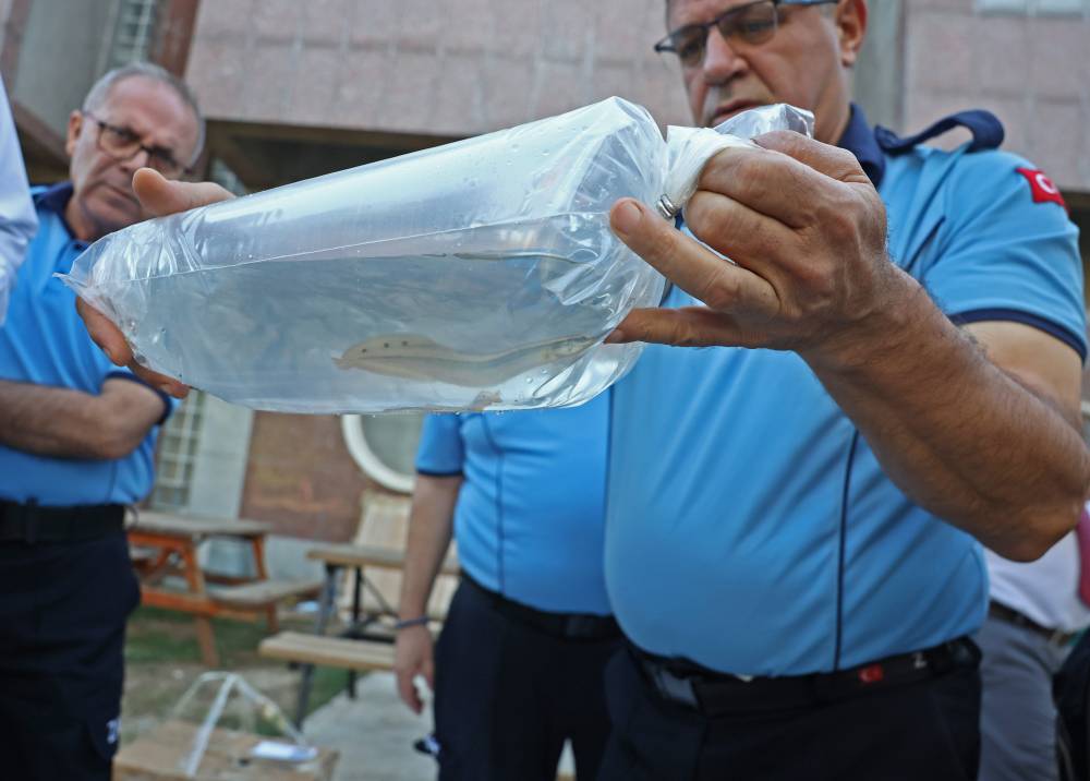 Büyükşehir zabıtasından otogarda usulsüz taşımacılığa operasyon